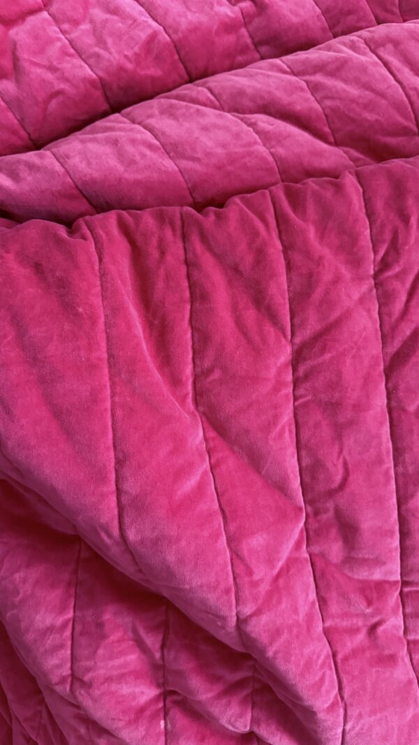 Veste – Image 2