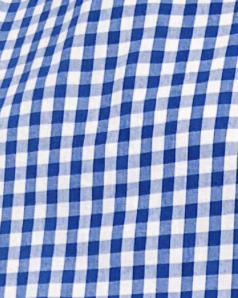 Vichy bleu